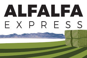 Alfalfa_Express_Logo